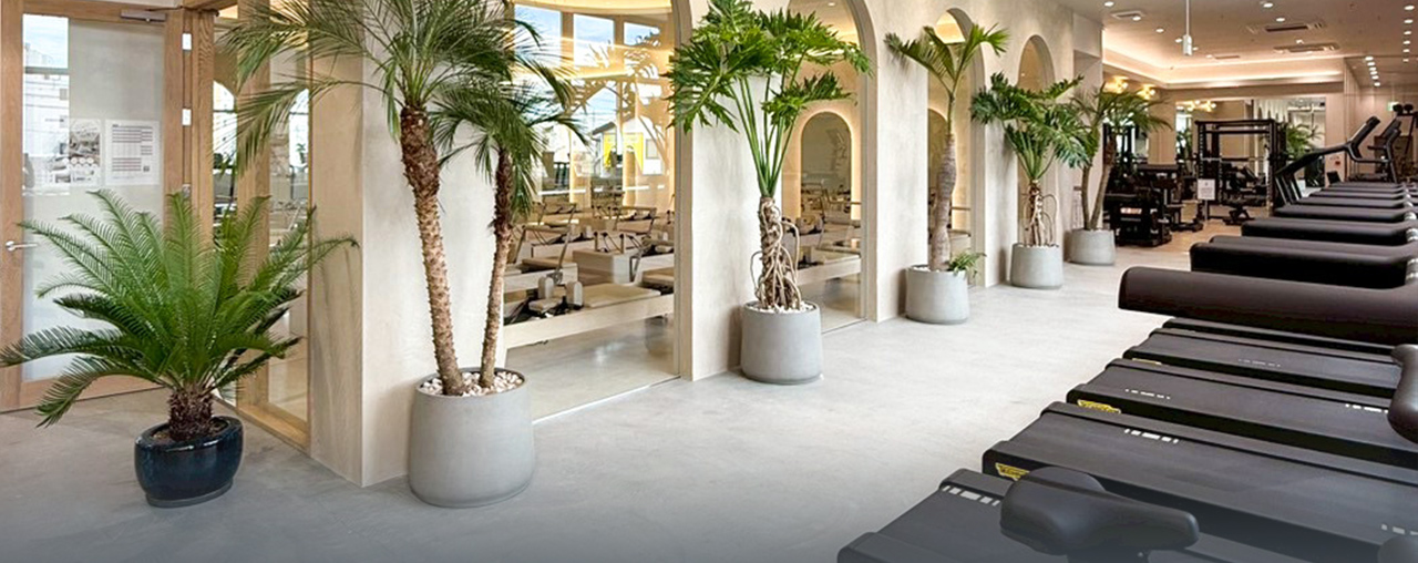 フィットネス事業